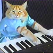 FNF vs Keyboard Cat